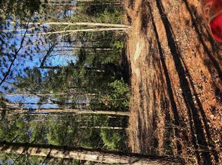 689 Brushaber Rd, Beaverton, MI 48612