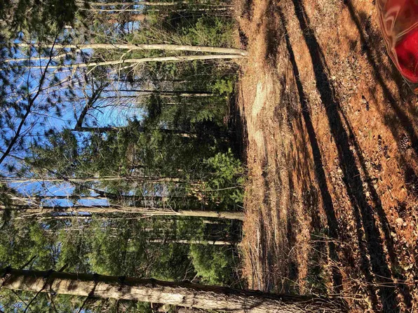 689 Brushaber Rd, Beaverton, MI 48612