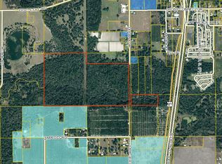 3800 Dixiana Dr, Bowling Green, FL 33834