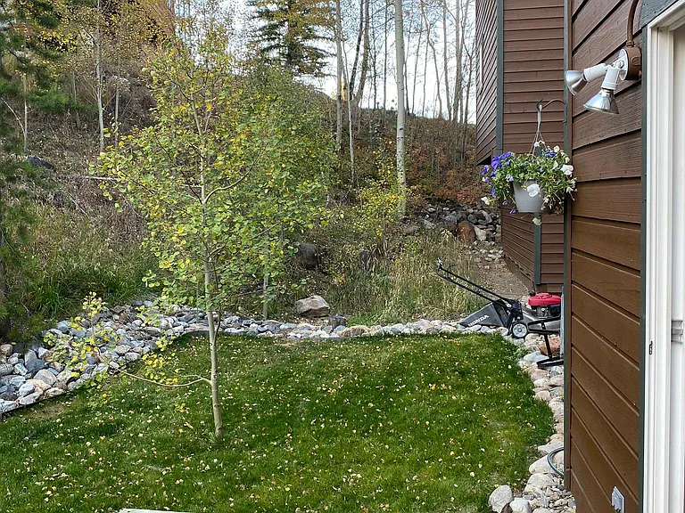 Peaceful backyard backing to open space and trees