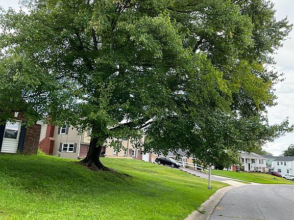 5th image of 1305 Paddock Ln