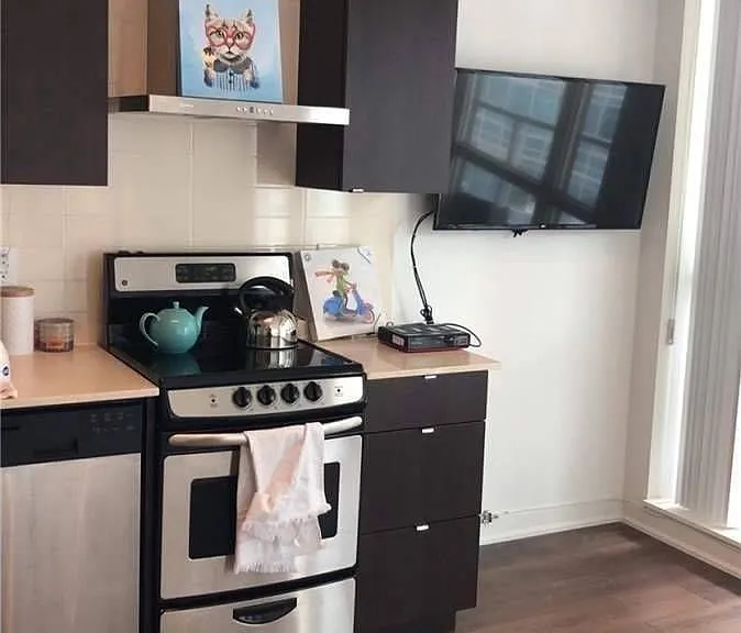 51 E Liberty St #1217 — Photo 5