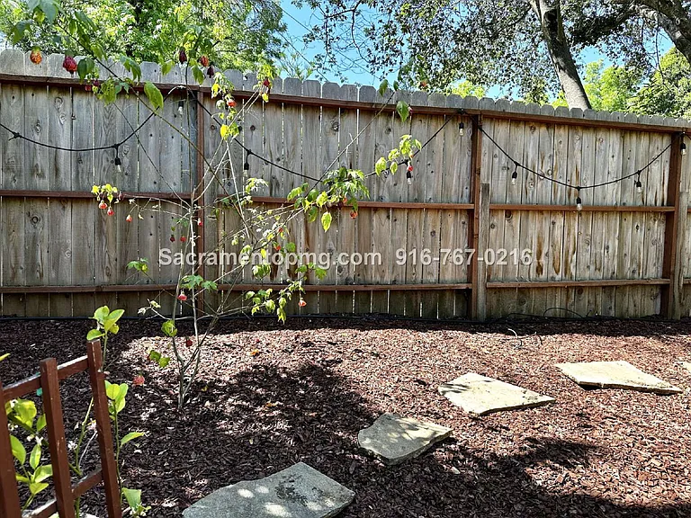 1283 Live Oak Ln — Photo 7