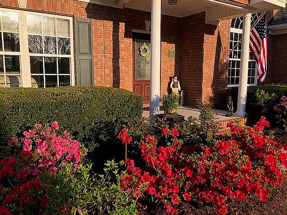 Spring blooms