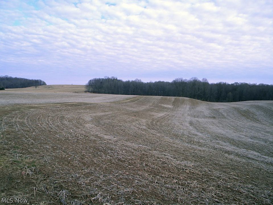 2nd image of Rochester Rd