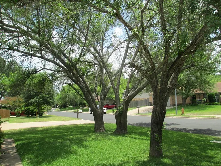 1214 Doonesbury Dr — Photo 27