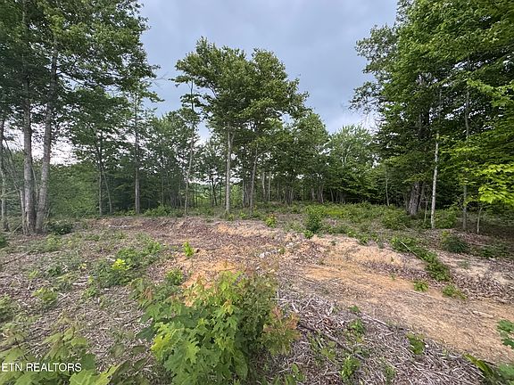 3rd image of Sheep Ranch Rd