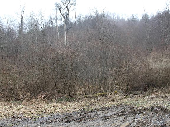 4th image of 1155 Price Run Rd