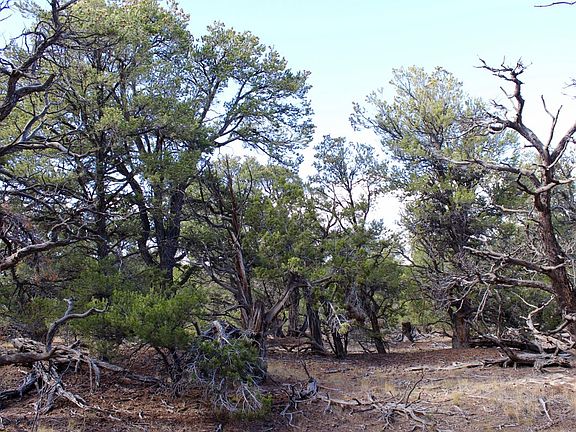 4th image of Orange Mtn #1-33