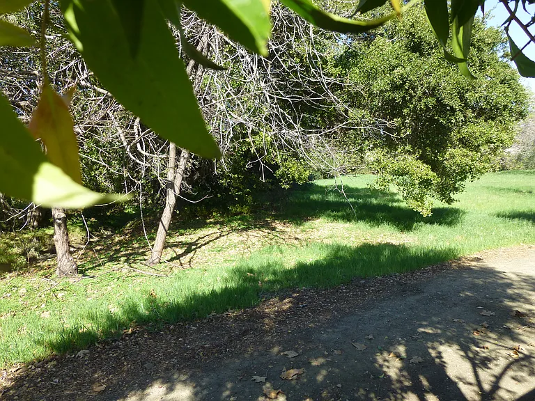 2001 Majestic Way — Photo 16