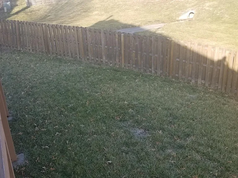Backyard #1.