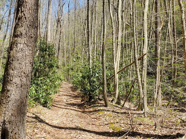 0 Little Mack Creek Rd, Hiwassee, VA 24347