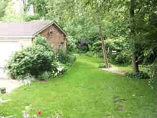 2/3 acre woods and lawn