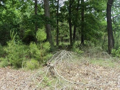 0 Knottywood Dr, Lavonia, GA, 30553