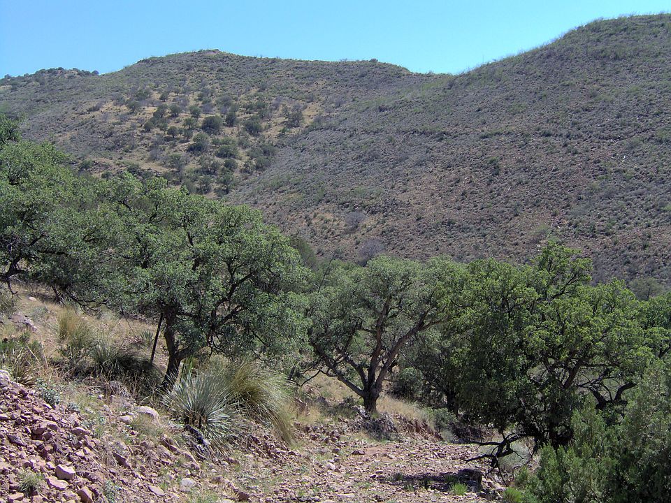 1st image of 4088 S Mule Mountain Dr