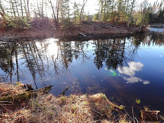 5th image of Lot 4 Canvasback Ln