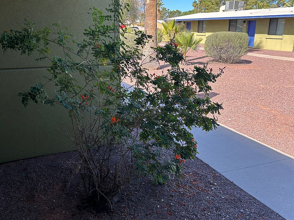 View from the front door