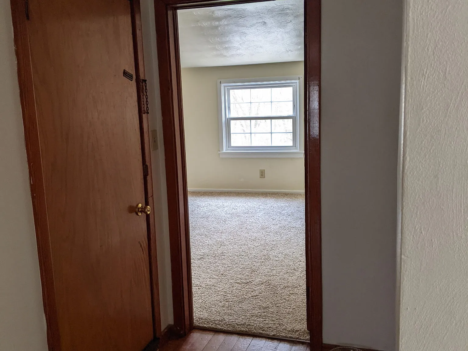 1 bed, $800 — Photo 3