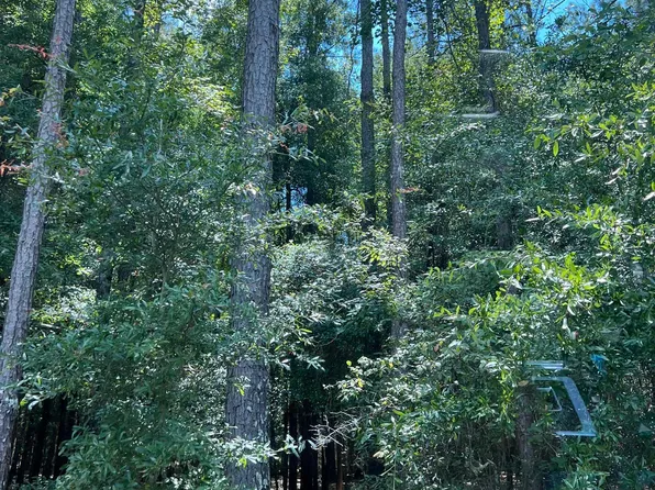 0 Bates Rd, Waynesboro, GA 30830