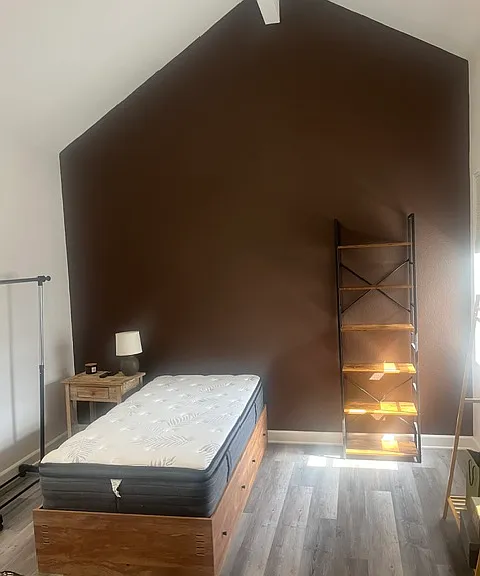 5 Rainwood — Photo 3