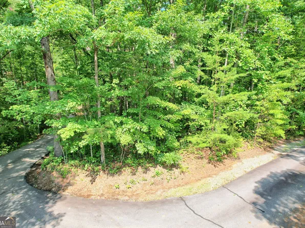 0 Forest Canopy Way Lot 3, Clayton, GA 30525