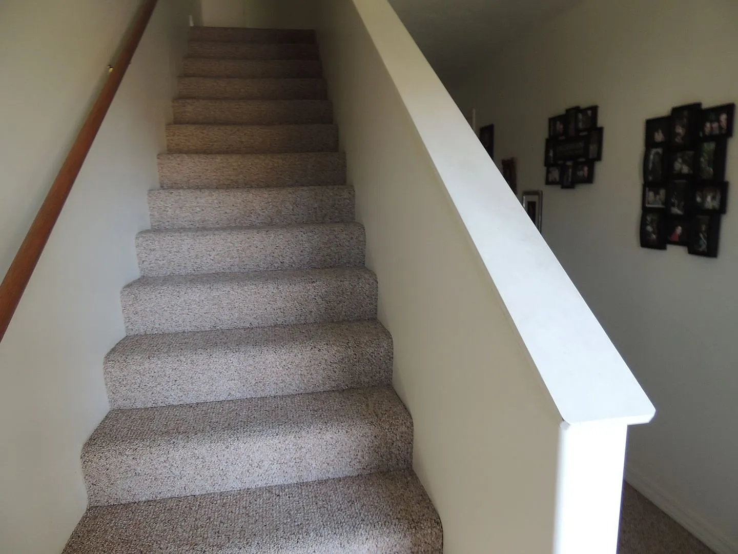 3301 Laredo A — Photo 4