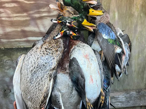 Misty Creek Rd, Pt Barre, LA 70577