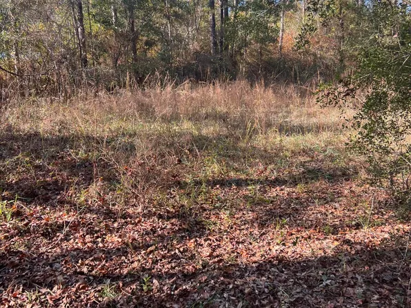 225 Two Post Rd, Vernon, FL 32462