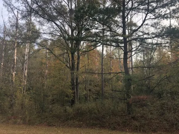 25 Crest Ridge Dr, Waynesboro, GA 30830