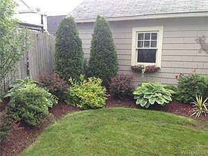 2nd image of 255 Knowlton Ave