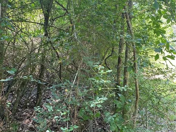 West St, Franklinton, LA 70438