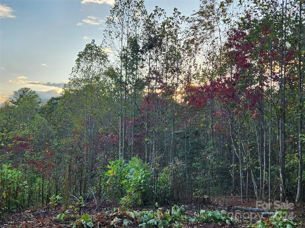TRACT 5A River Road Liberty Grove Rd, North Wilkesboro, NC 28659