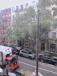 Rented by Nest Seekers International