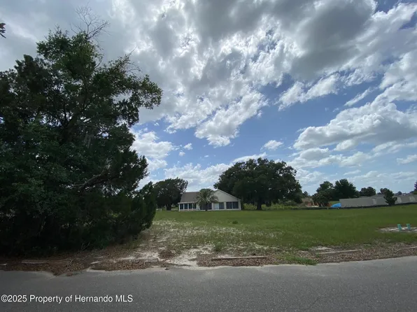5449 Chestnut Ridge Rd, Ridge Manor, FL 33523