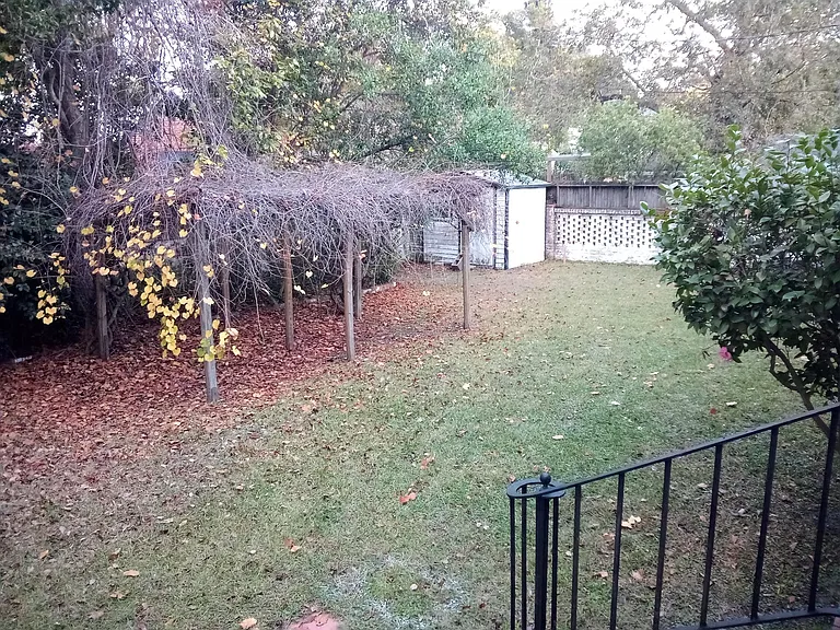 Fenced in Privacy Back Yard