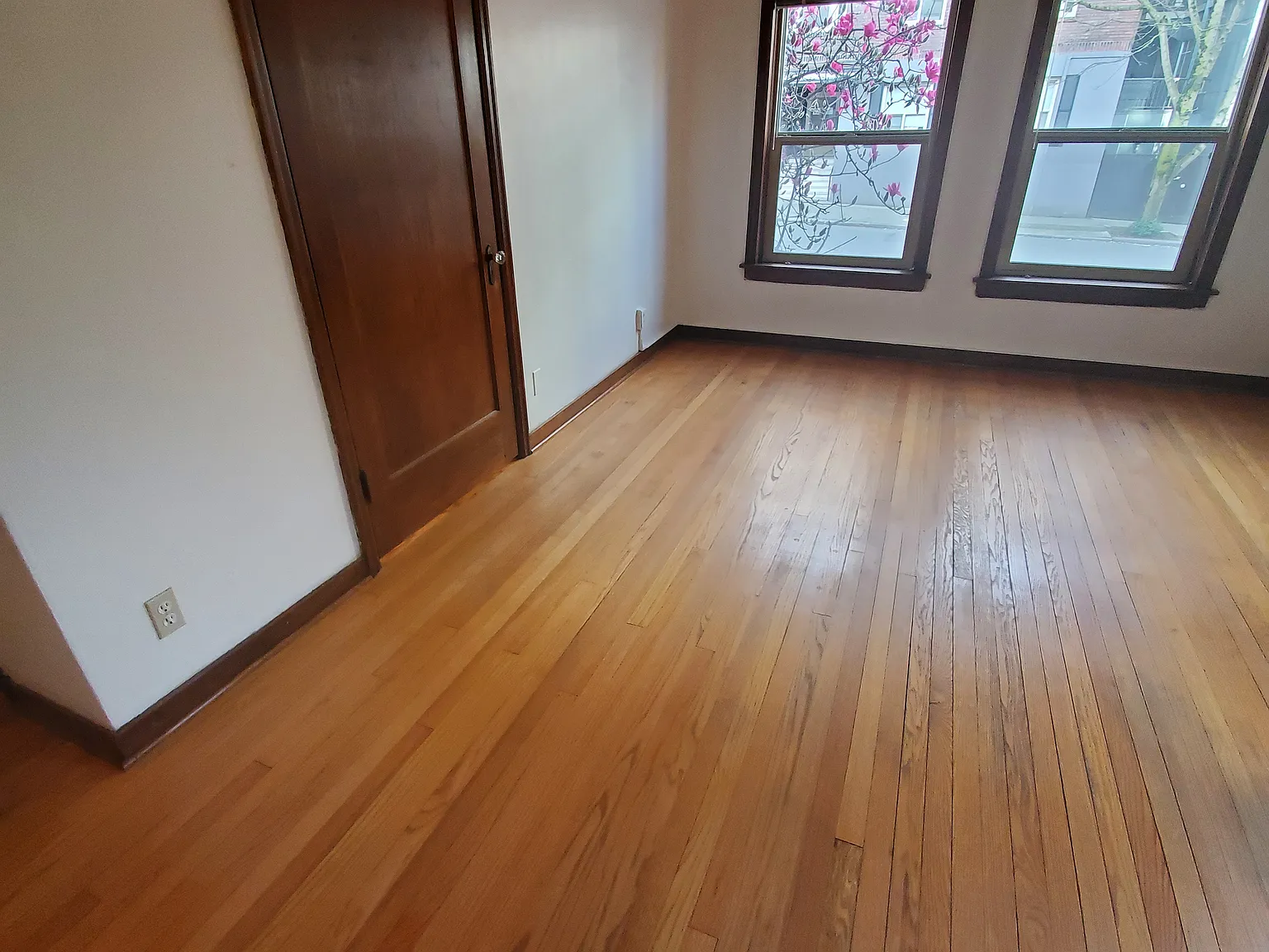 Bel Vista — Photo 2