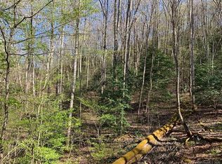 19 Saddlewood Rdg, Sylva, NC 28779