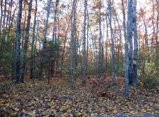 Bridge St, West Newfield, ME 04095