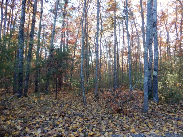 TBD Bridge Street, Newfield, ME 04095