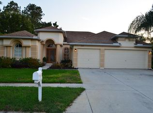 12808 Stanwyck Cir, Tampa, FL 33626