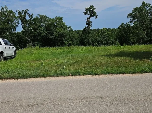 Bass Point Rd, Gravois Mills, MO 65037