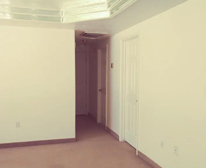 Living room/hall