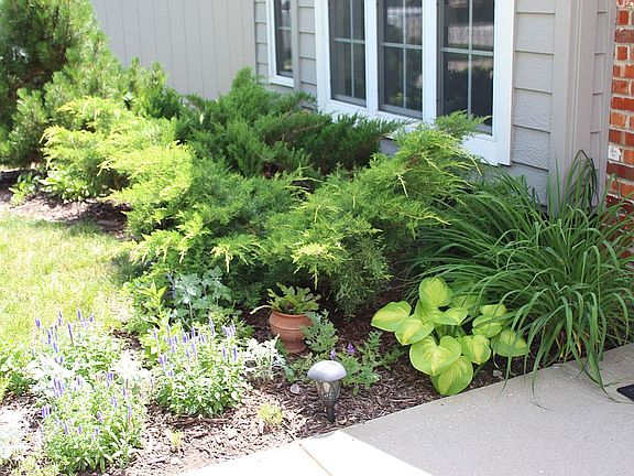 Perennial shrubs and flowers