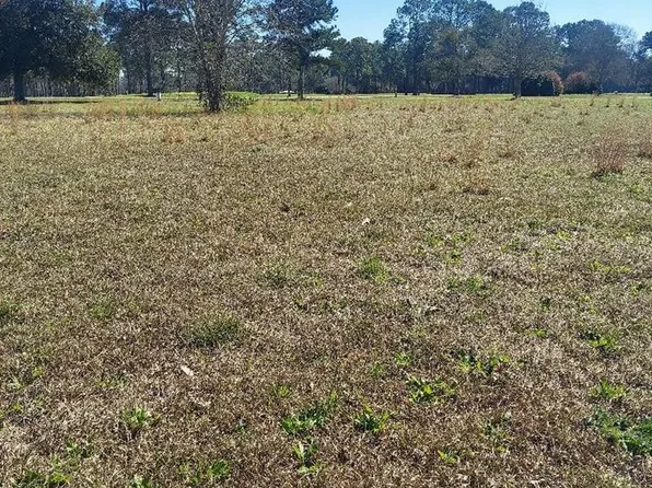 LOT 1 Crine Blvd Lot 1, Cairo, GA 39828