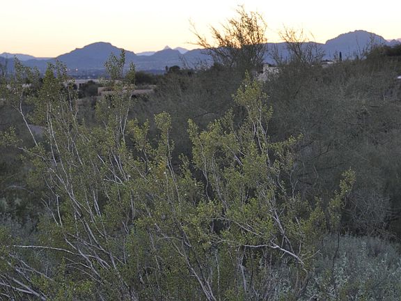 5th image of 5800 N Calle Grandeza