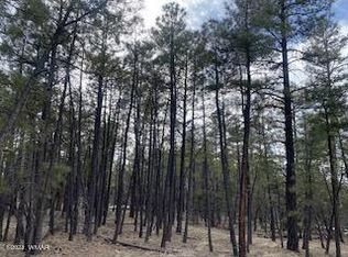 2380 S Pinegrass Rd, Show Low, AZ 85901