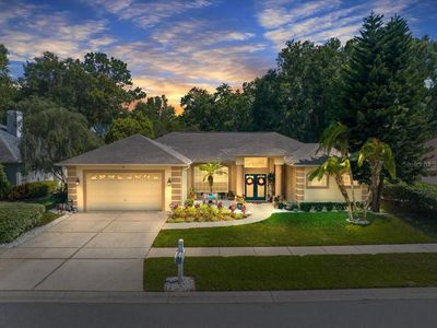 21326 Preservation Dr, Land O Lakes, FL, 34638