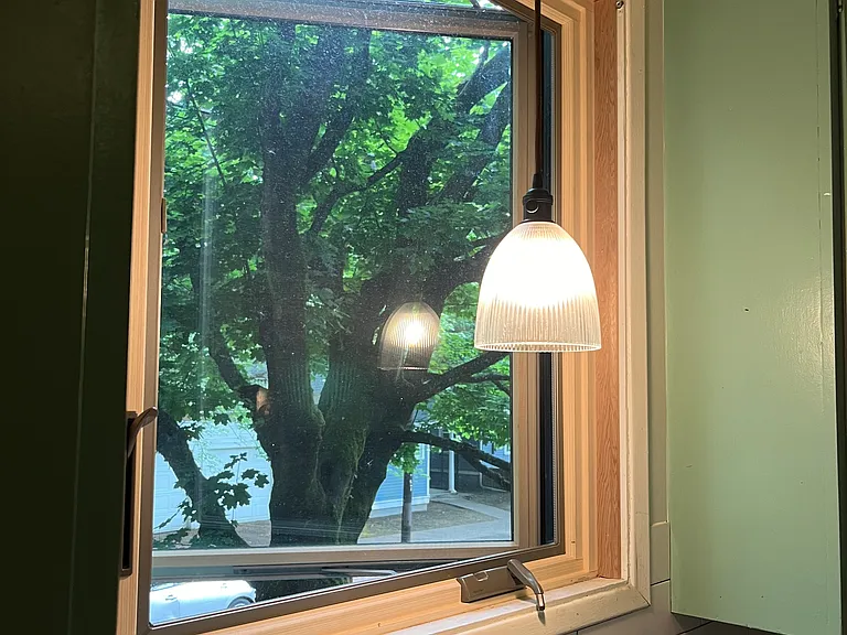 View from kitchen window