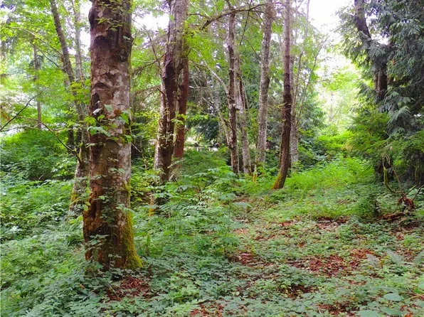 5981 NE Spruce Dr, Hansville, WA 98340
