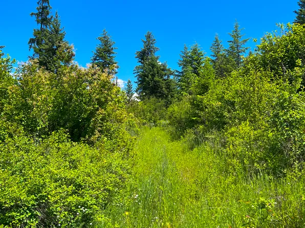 182X Highway 25 N, Evans, WA 99126